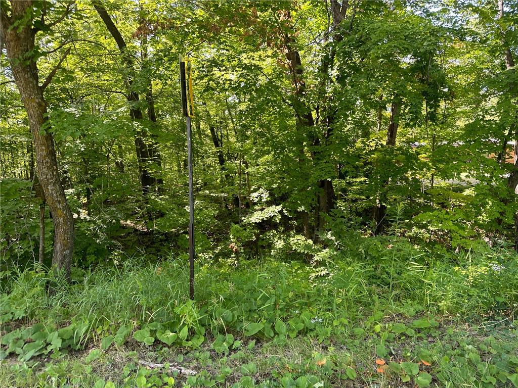 XXX County Rd 138 Garrison MN 56450 6757093 image12