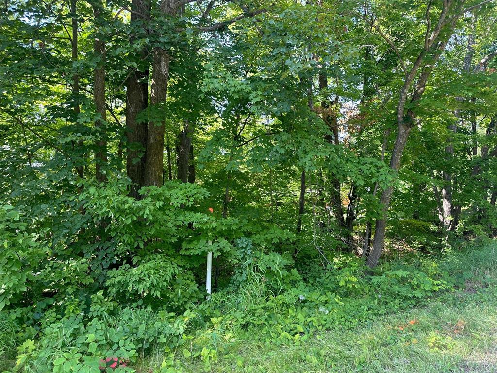 XXX County Rd 138 Garrison MN 56450 6757093 image13