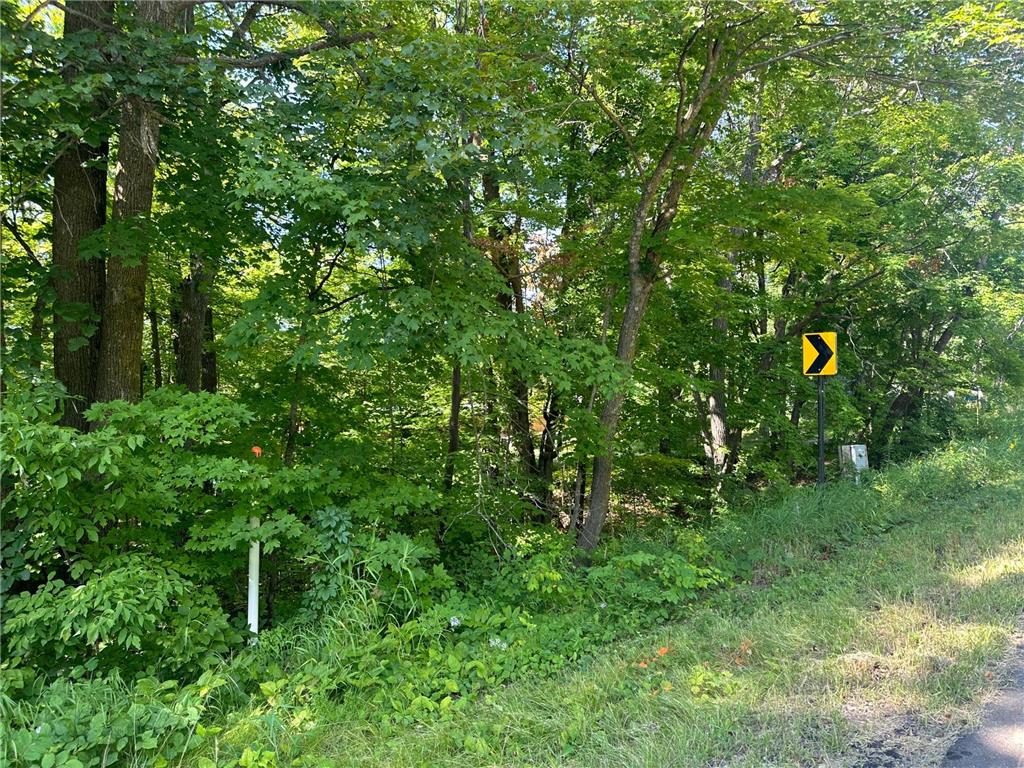 XXX County Rd 138 Garrison MN 56450 6757093 image14