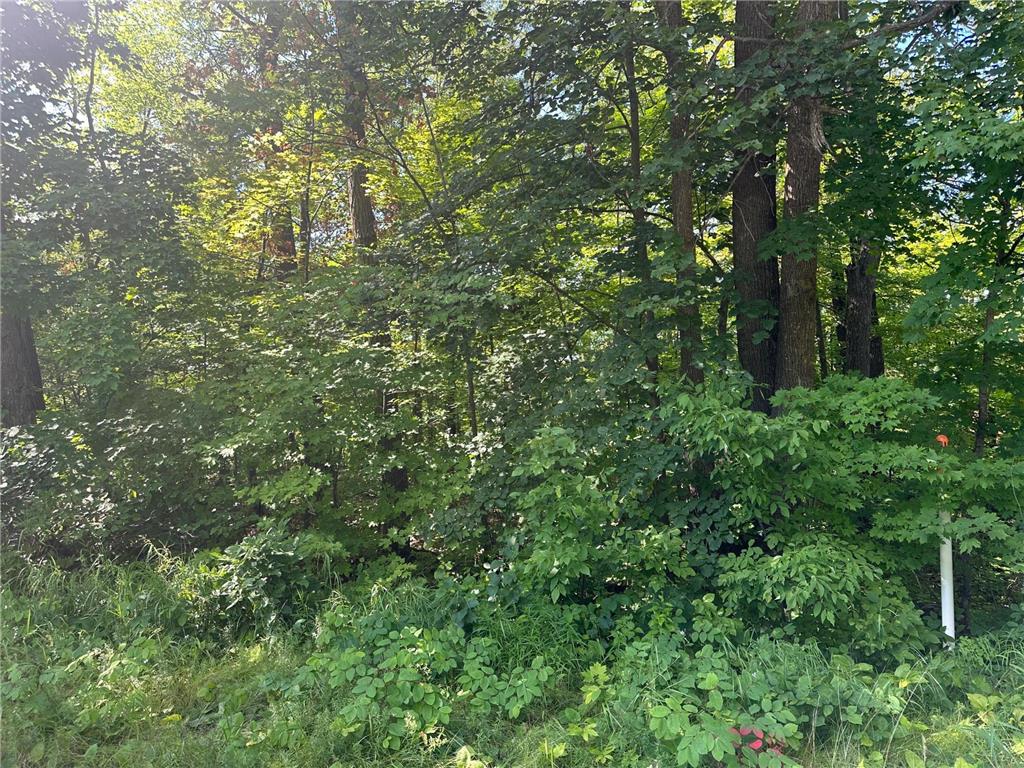 XXX County Rd 138 Garrison MN 56450 6757093 image15