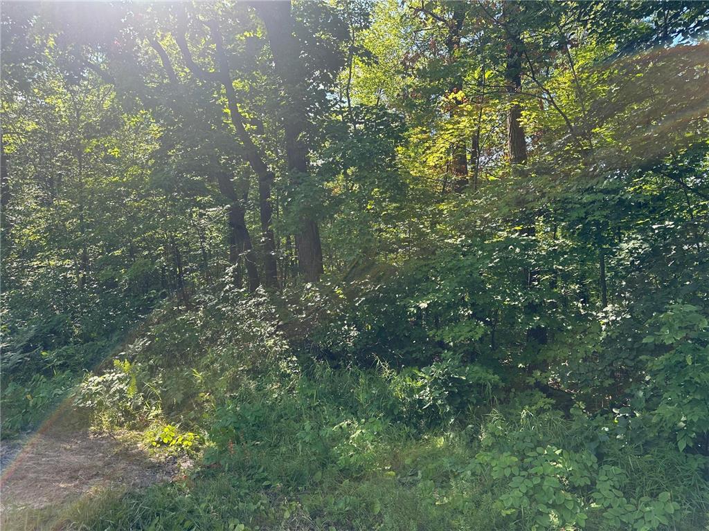 XXX County Rd 138 Garrison MN 56450 6757093 image16