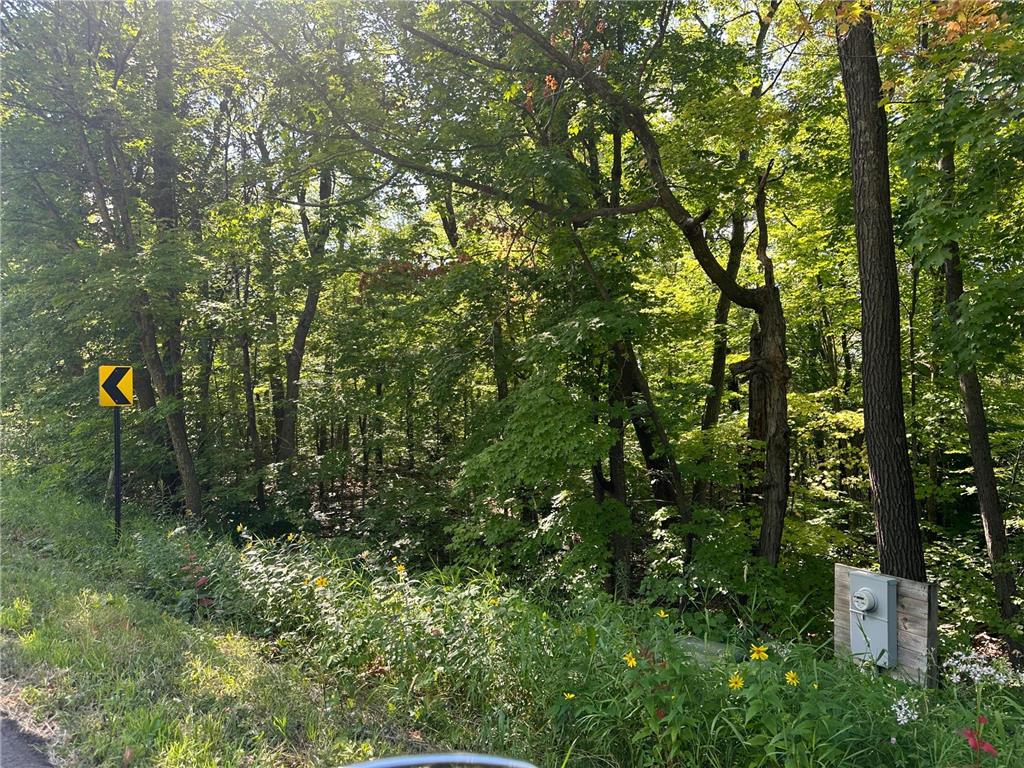 XXX County Rd 138 Garrison MN 56450 6757093 image3