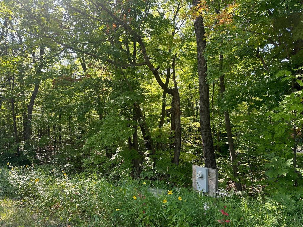 XXX County Rd 138 Garrison MN 56450 6757093 image8