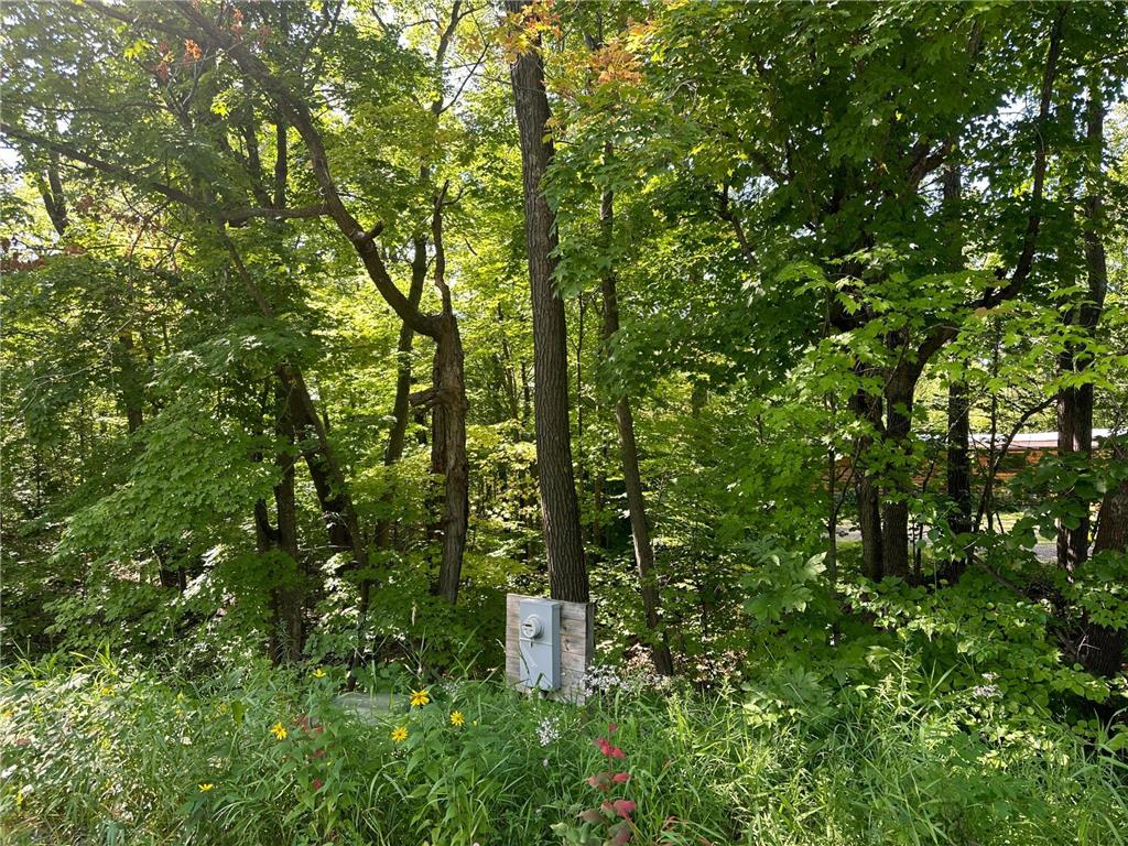 XXX County Rd 138 Garrison MN 56450 6757093 image9