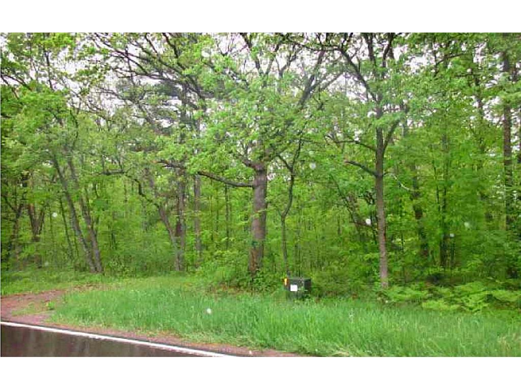 XXX County Rd 138, Garrison, MN, 56450 | MLS: 6549713 | Edina Realty