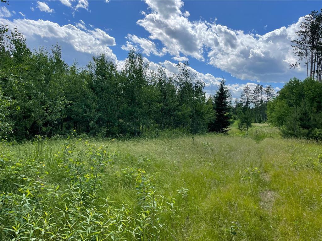 XXX County Rd 145 Jenkins MN 56472 6548977 image1