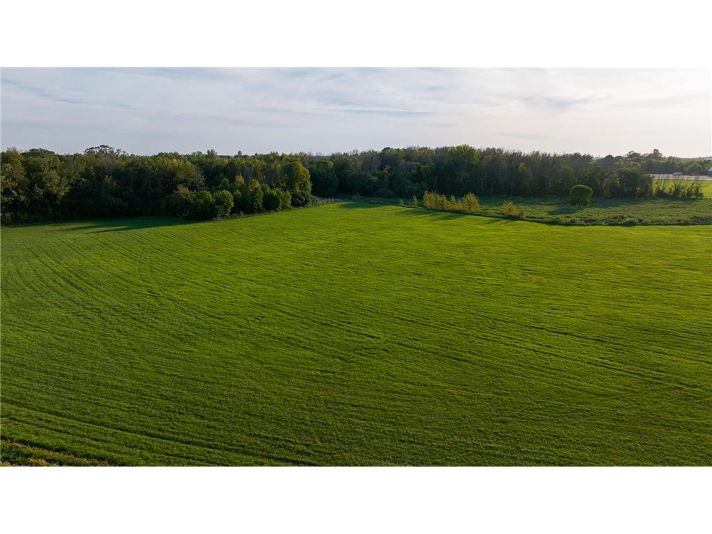 XXX County Rd. 50 San Francisco Twp MN 55315 6817928 image4