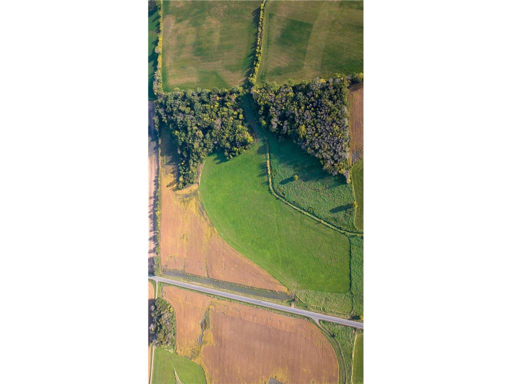 XXX County Rd. 50 San Francisco Twp MN 55315 6817928 image9