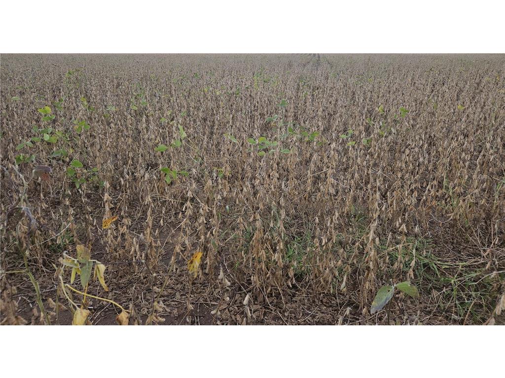 XXX County Rd C Elmwood WI 54740 6438934 image1