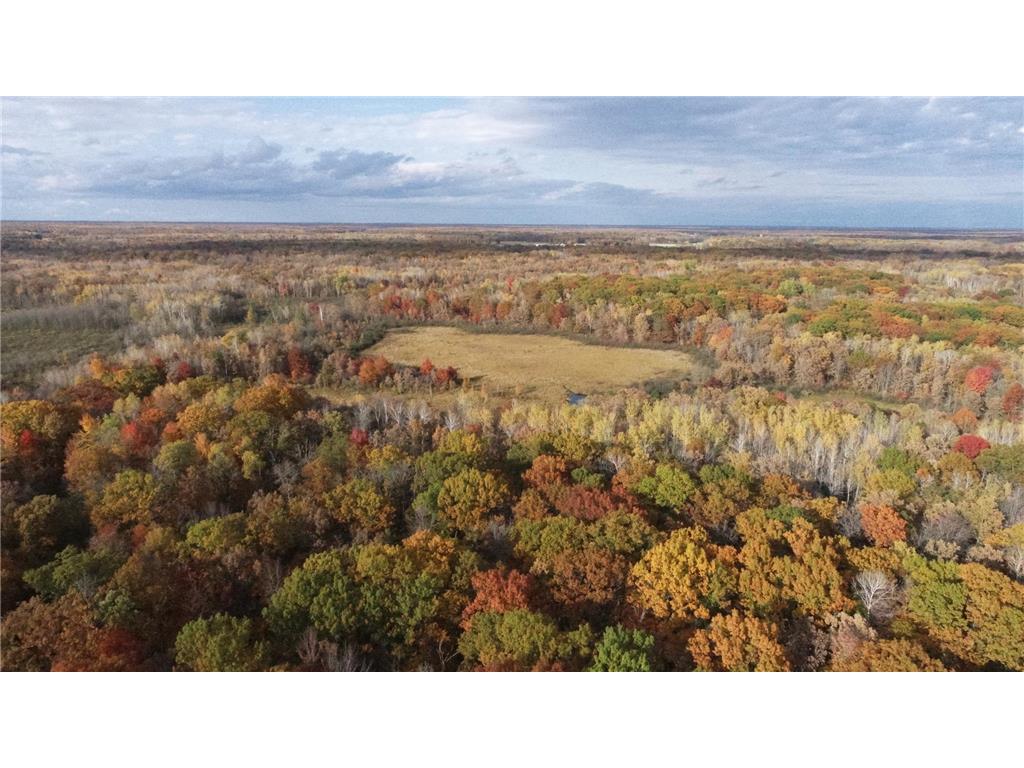 XXX County Road 16 Milaca MN 56353 6617457 image1