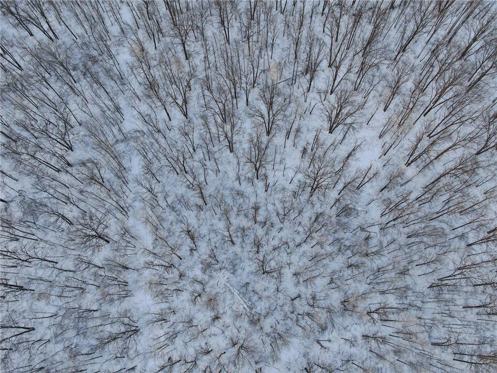 XXX County Road 16 Page Twp MN 56353 6256844 image1