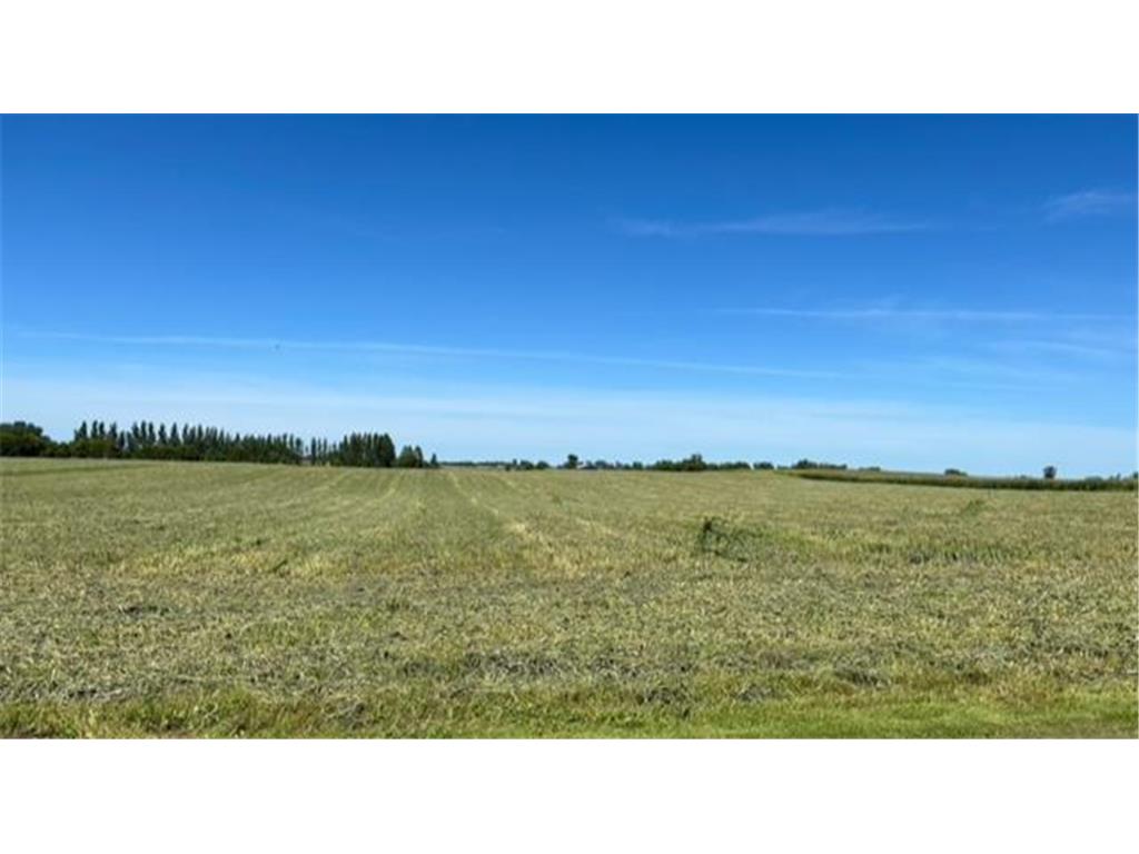 XXX County Road 21 Glenwood MN 56334 6595743 image1