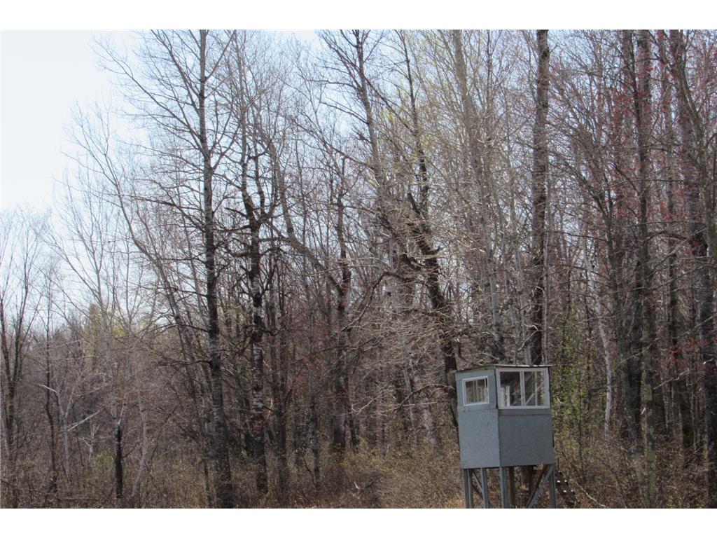 XXX County Road 41 Bremen Twp MN 55795 - Little Bremen Creek 7092300 image11