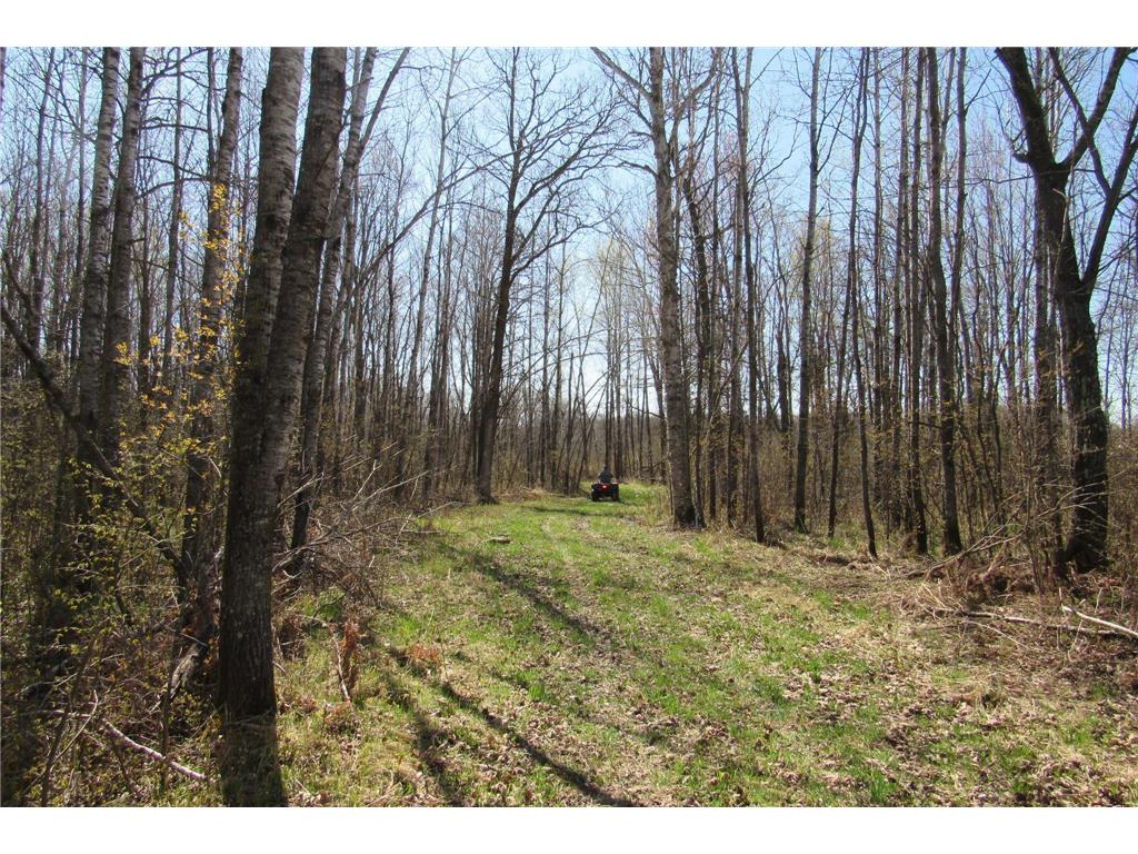 XXX County Road 41 Bremen Twp MN 55795 - Little Bremen Creek 7092300 image13