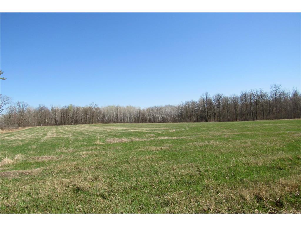 XXX County Road 41 Bremen Twp MN 55795 - Little Bremen Creek 7092300 image14