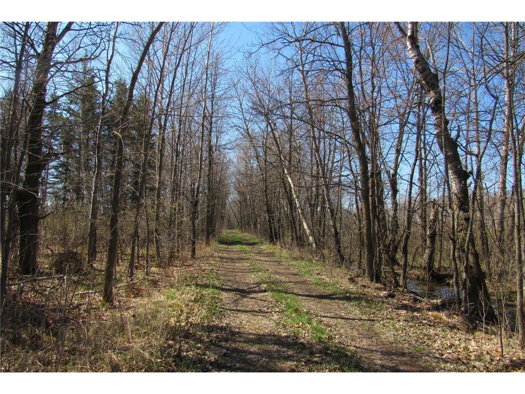 XXX County Road 41 Bremen Twp MN 55795 - Little Bremen Creek 7092300 image17