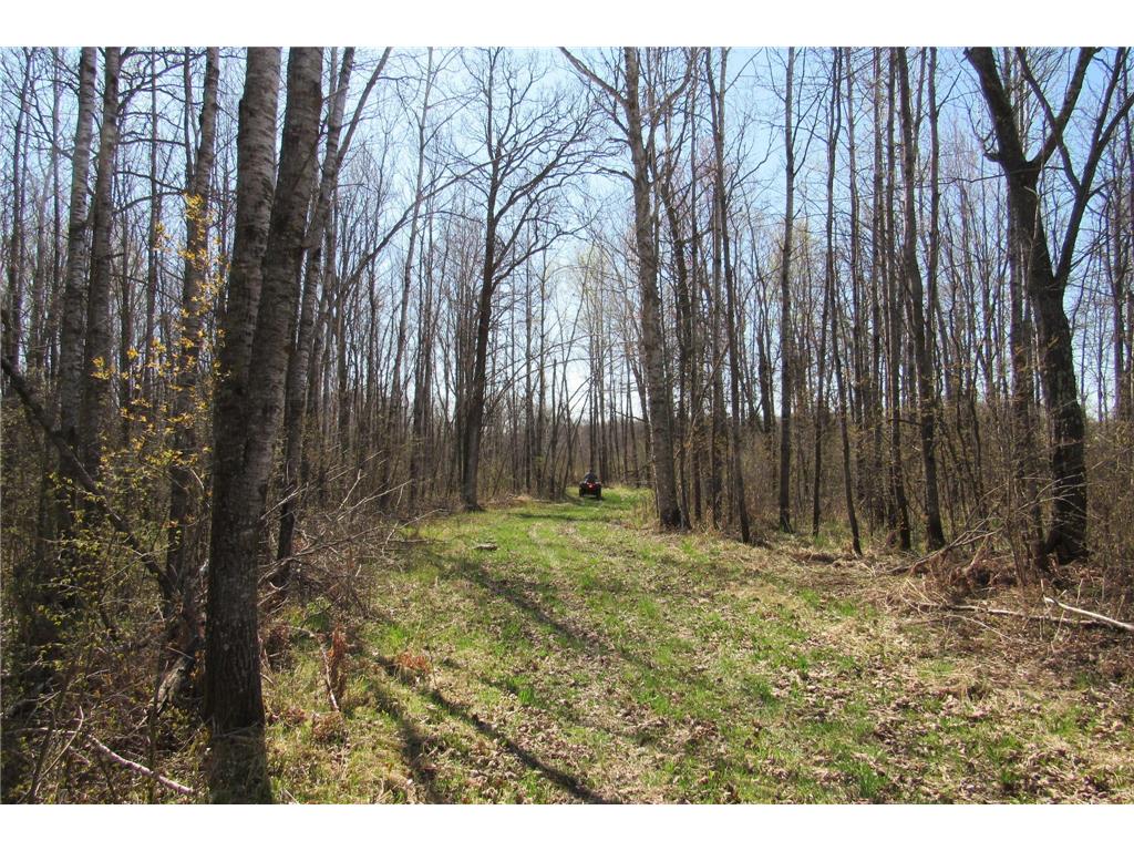 XXX County Road 41 Bremen Twp MN 55795 - Little Bremen Creek 7092300 image18