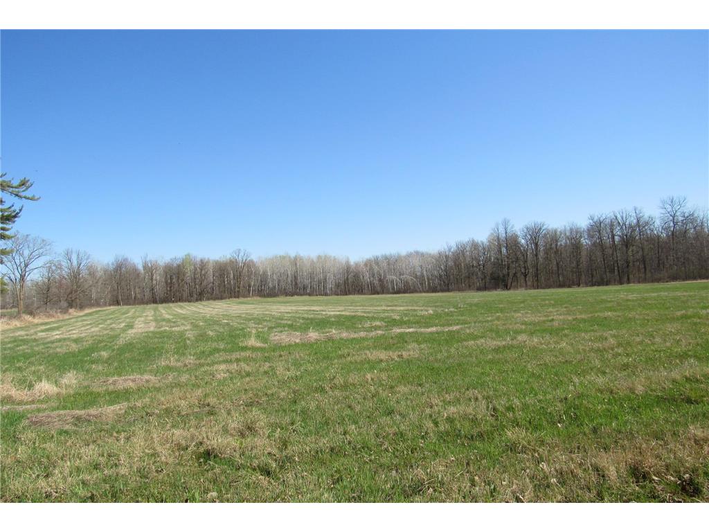 XXX County Road 41 Bremen Twp MN 55795 - Little Bremen Creek 7092300 image21