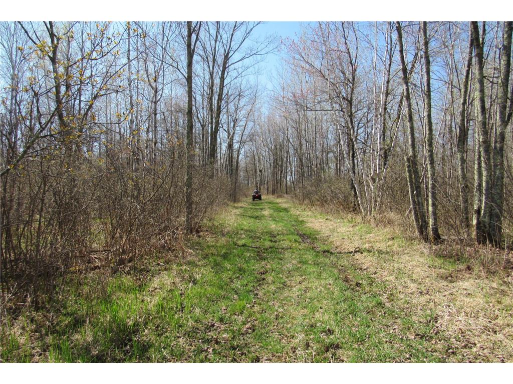 XXX County Road 41 Bremen Twp MN 55795 - Little Bremen Creek 7092300 image22