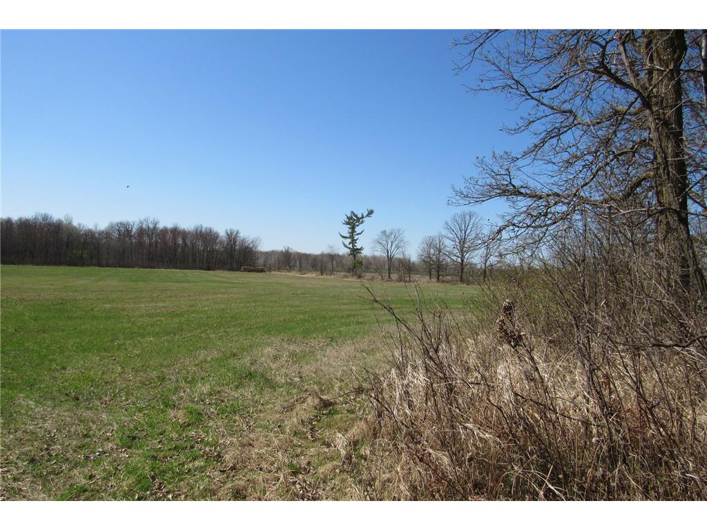 XXX County Road 41 Bremen Twp MN 55795 - Little Bremen Creek 7092300 image24