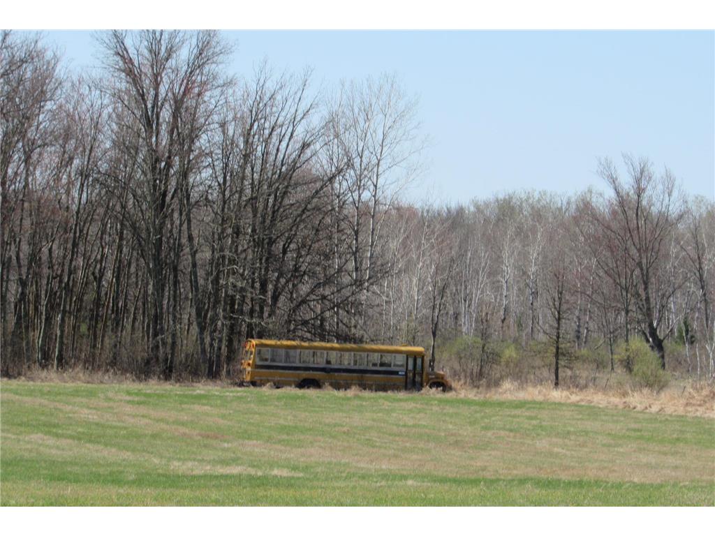 XXX County Road 41 Bremen Twp MN 55795 - Little Bremen Creek 7092300 image3