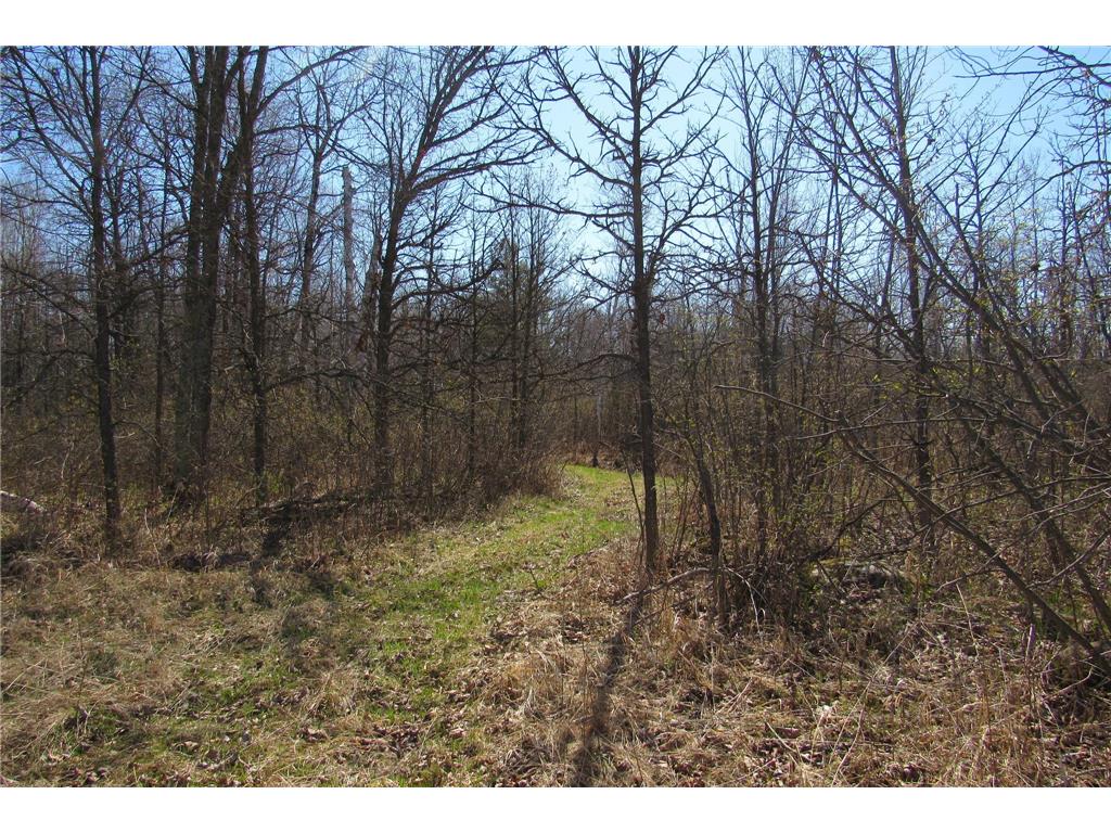 XXX County Road 41 Bremen Twp MN 55795 - Little Bremen Creek 7092300 image7