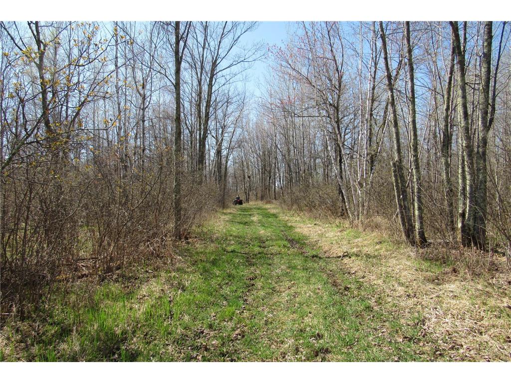 XXX County Road 41 Bremen Twp MN 55795 - Little Bremen Creek 7092300 image9