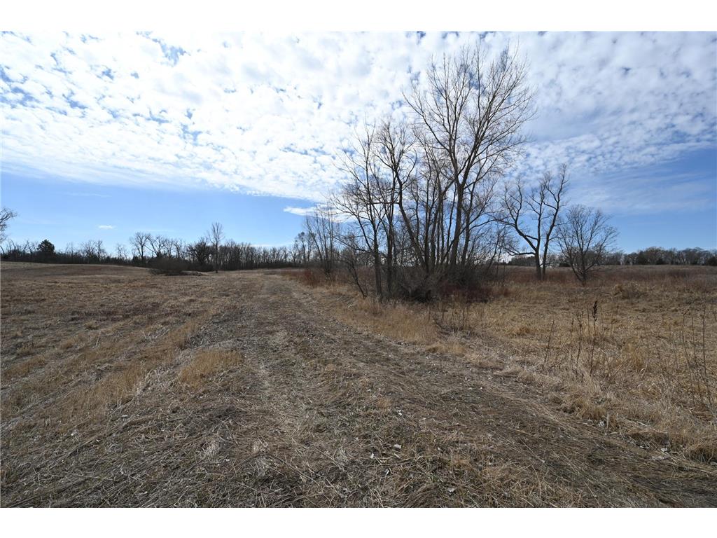 XXX County Road 64 Helena Twp MN 55352 6681590 image1