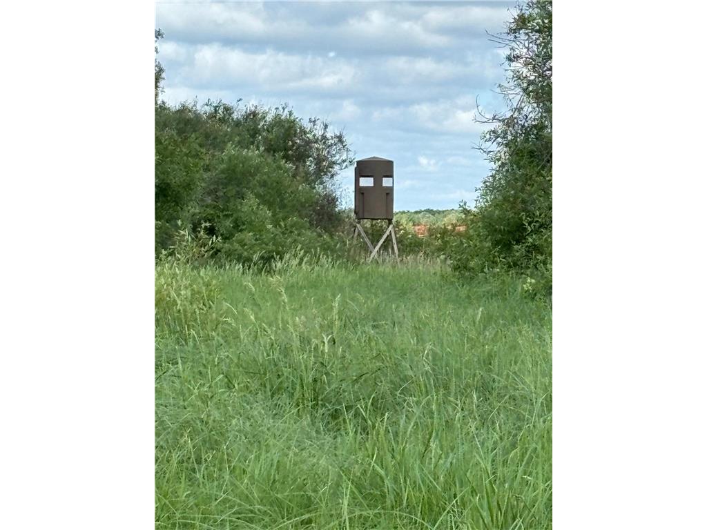 TBD County Road 7 Bagley MN 56621 6555997 image1