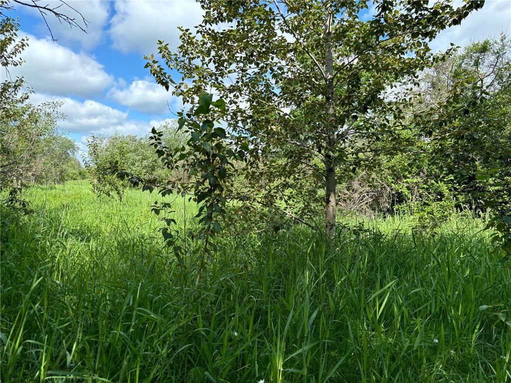 TBD County Road 7 Bagley MN 56621 6555997 image3