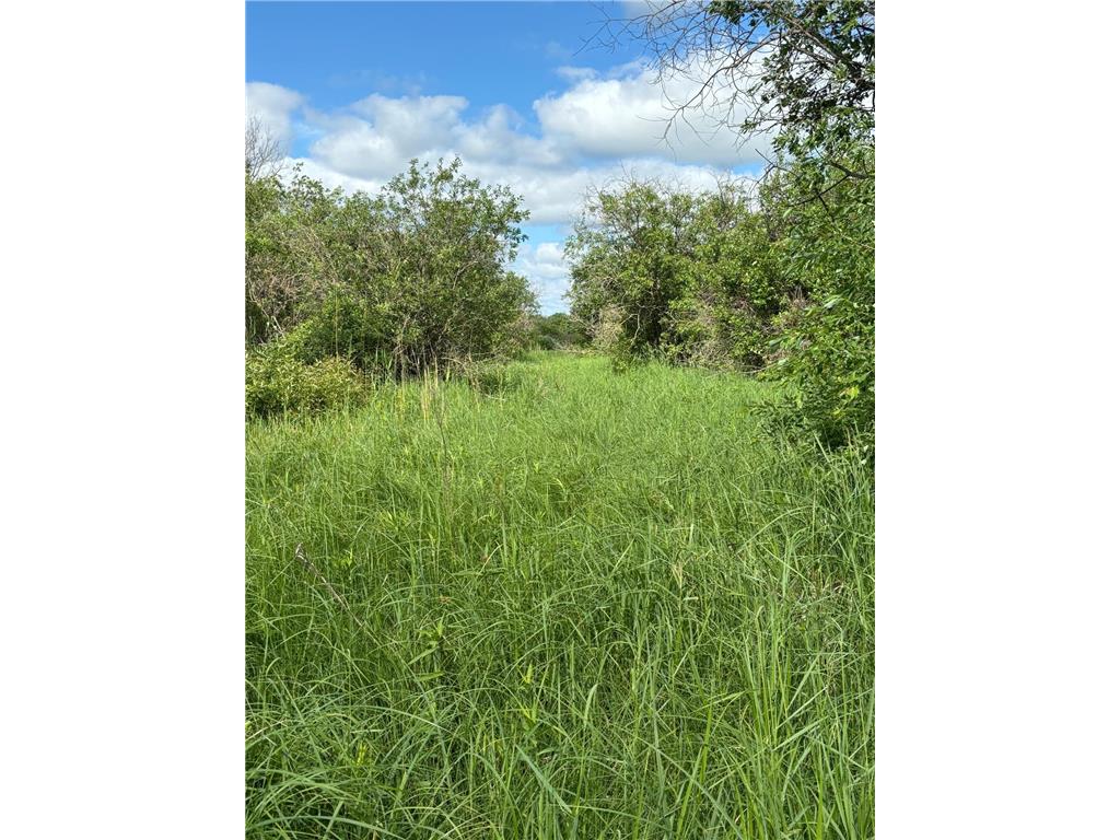 TBD County Road 7 Bagley MN 56621 6555997 image4