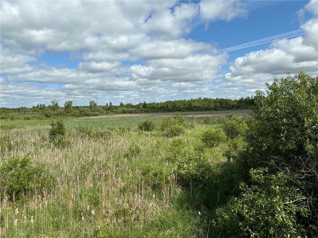 TBD County Road 7 Bagley MN 56621 6555997 image6
