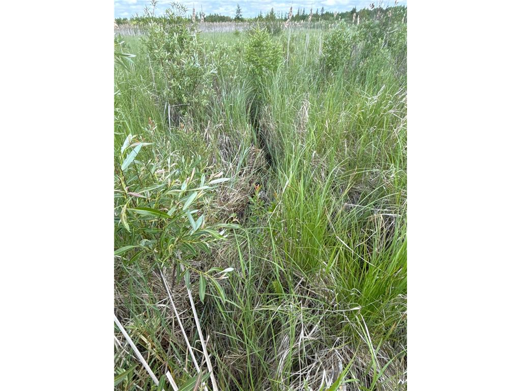 TBD County Road 7 Bagley MN 56621 6555997 image9