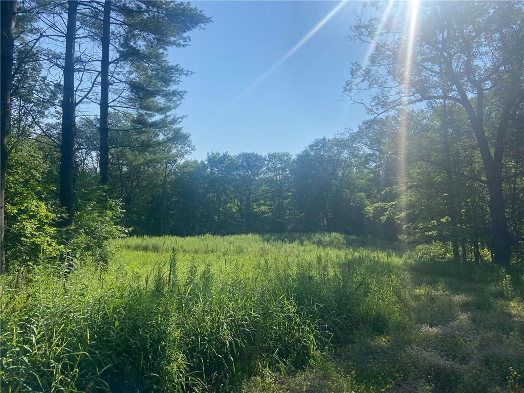 XXX County Road GG S Georgetown Twp WI 54858 6570719 image1