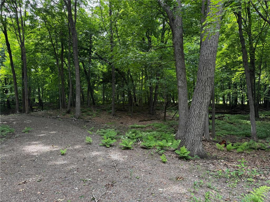 XXX County Road I Balsam Lake WI 54810 - Balsam Lake 7103405 image11