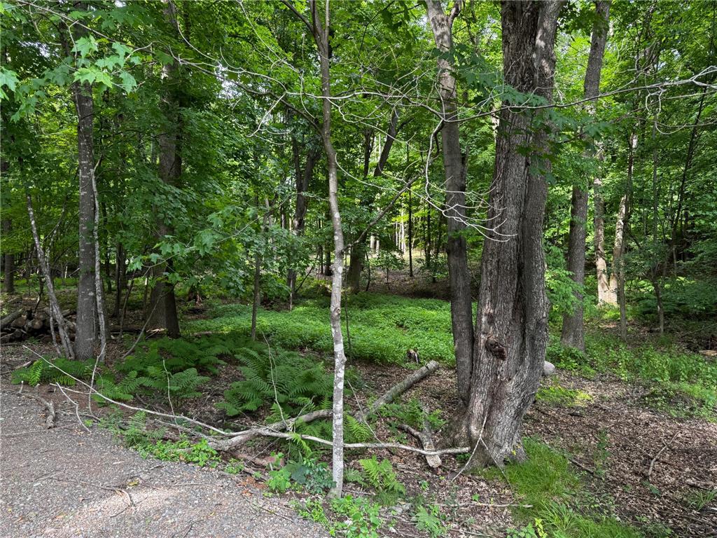 XXX County Road I Balsam Lake WI 54810 - Balsam Lake 7103405 image14