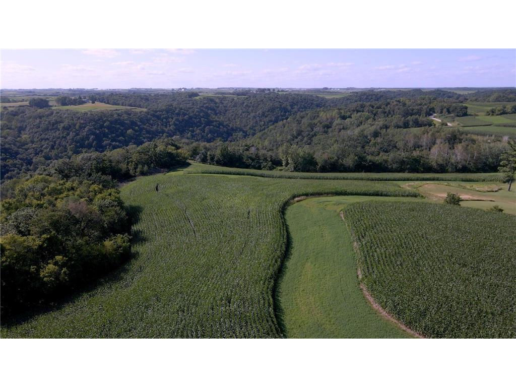 XXX Crazy Corners Road Mayville Twp MN 55921 6587931 image1