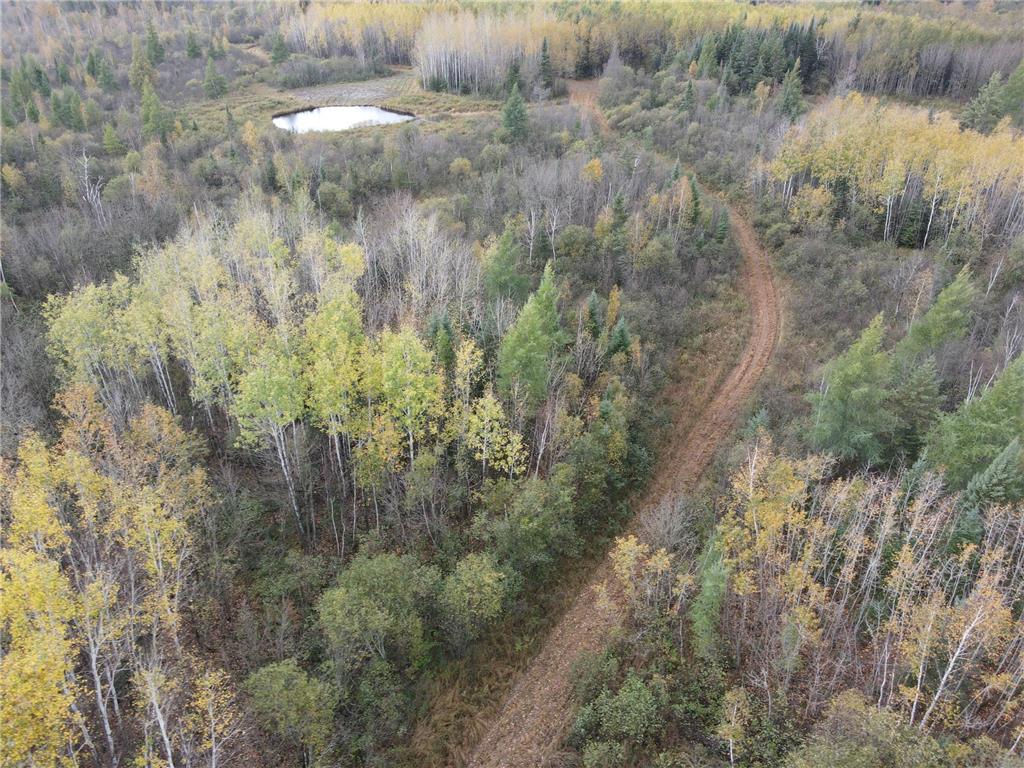 XXX Deer River Line Rd, Big Falls, MN, 56653 MLS 6445120 Edina Realty