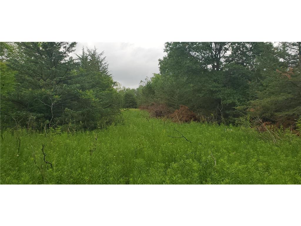 XXX Dexter Street Prescott WI 54021 6358104 image1