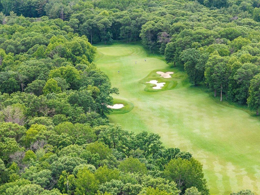 XXX Dog Leg Pelican Twp MN 56472 - Pelican 6741616 image10