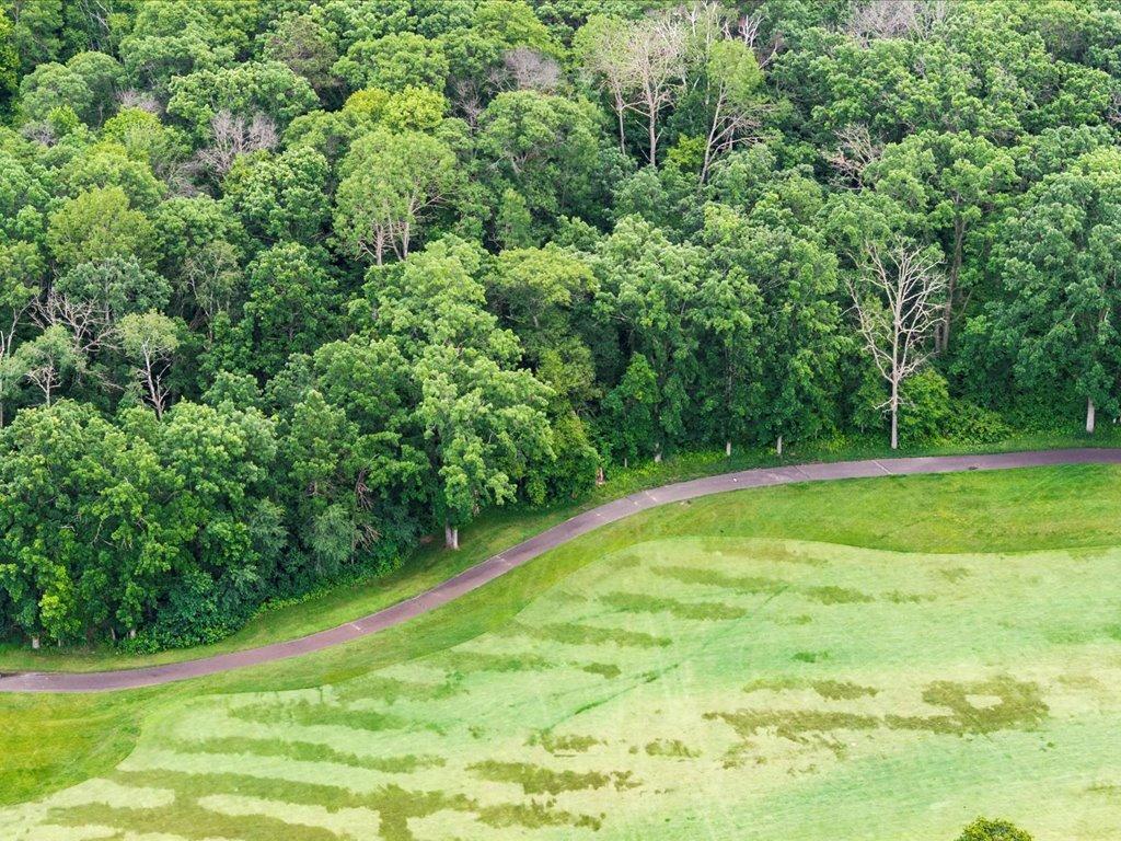 XXX Dog Leg Pelican Twp MN 56472 - Pelican 6741616 image8