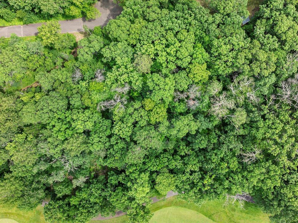 XXX Dog Leg Pelican Twp MN 56472 - Pelican 6741616 image9