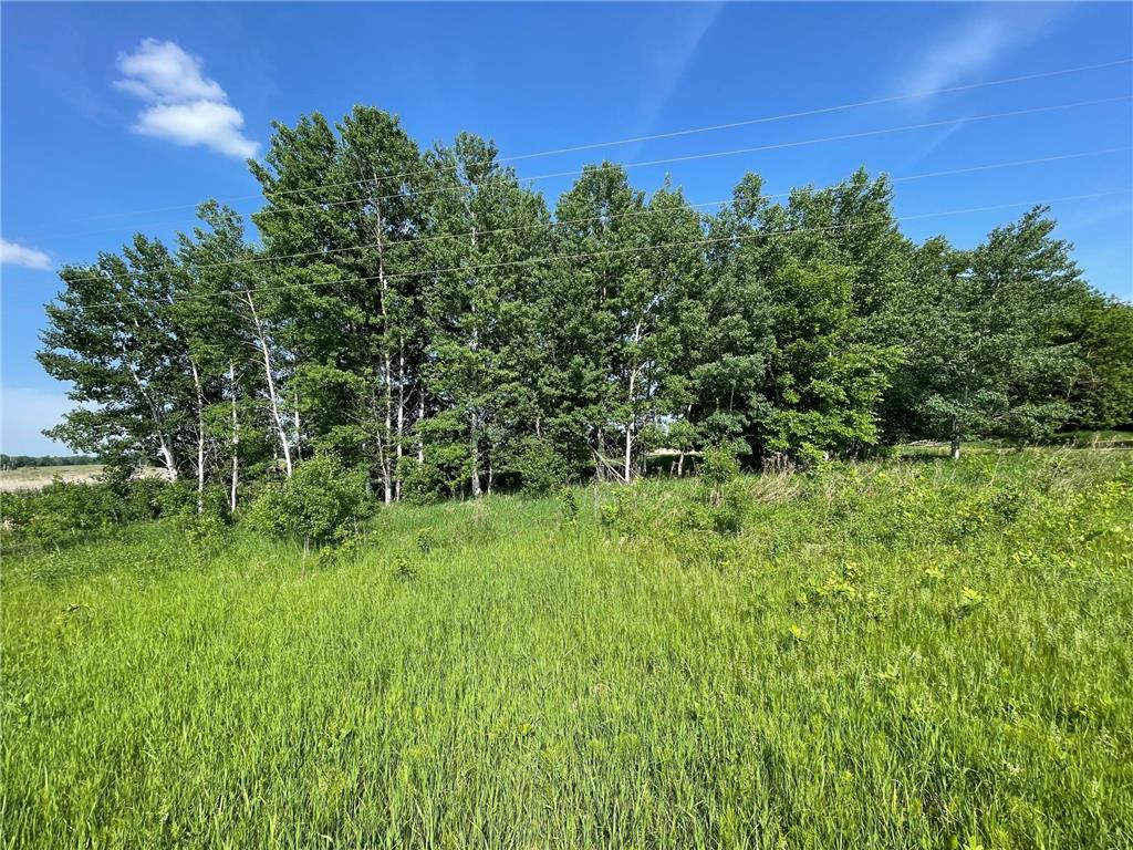 XXX Dove Rd Darling Twp MN 56475 6348045 image1