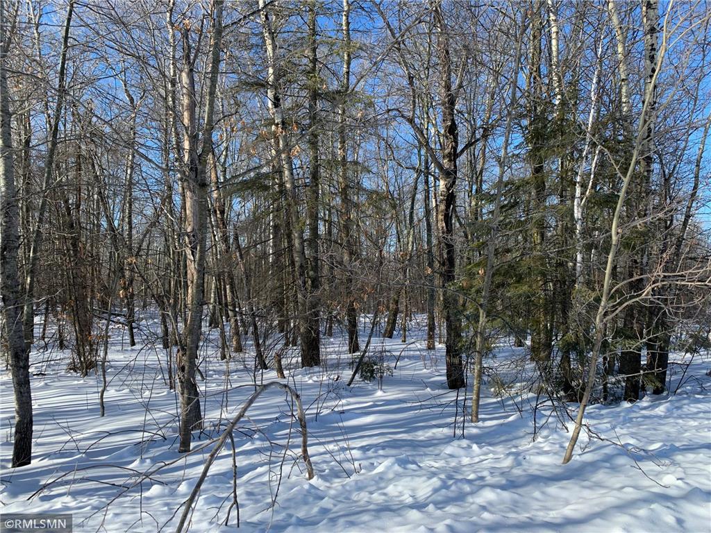 XXX Driftwood Street Mcgregor MN 55760 6337060 image1