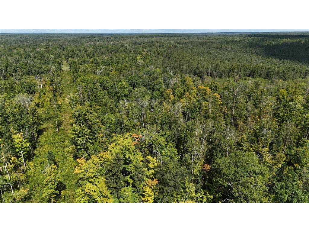 XXX Duxbury Road Sandstone MN 55072 6598232 image1