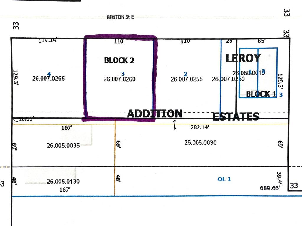 XXX E Benton Street Le Roy MN 55951 6552798 image1