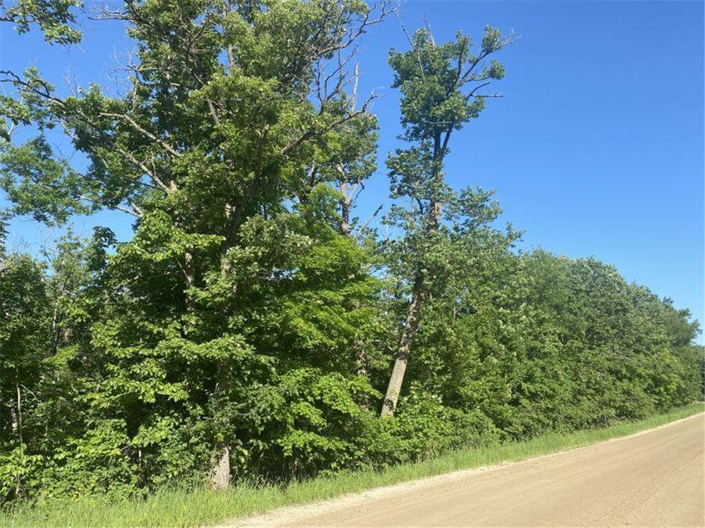 XXX E Height Of Land Dr Height Of Land N Twp MN 56501 - Height of Land 6481424 image1