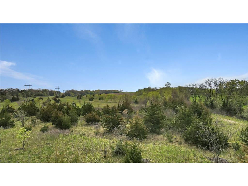 XXX Eastfield Drive Munson Twp MN 56368 - Cedar Island Lake 6366058 image4