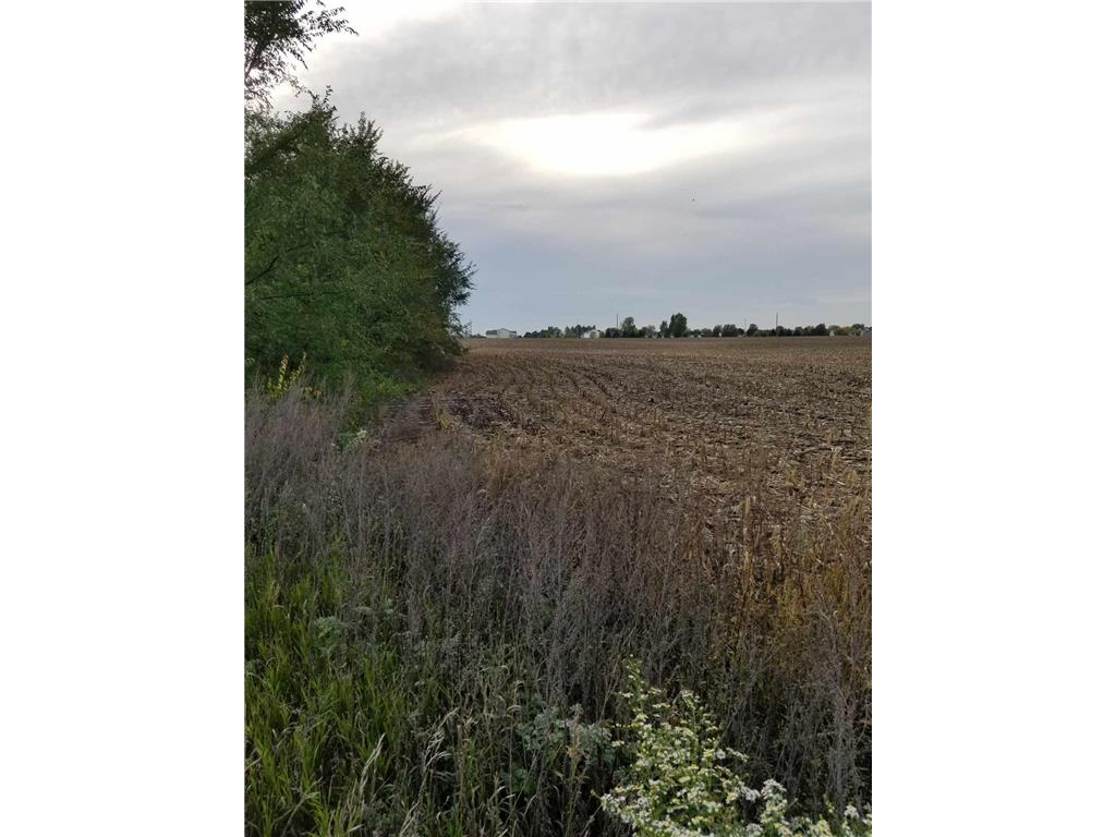 XXX Edmonson Avenue NE Monticello MN 55362 6441257 image12