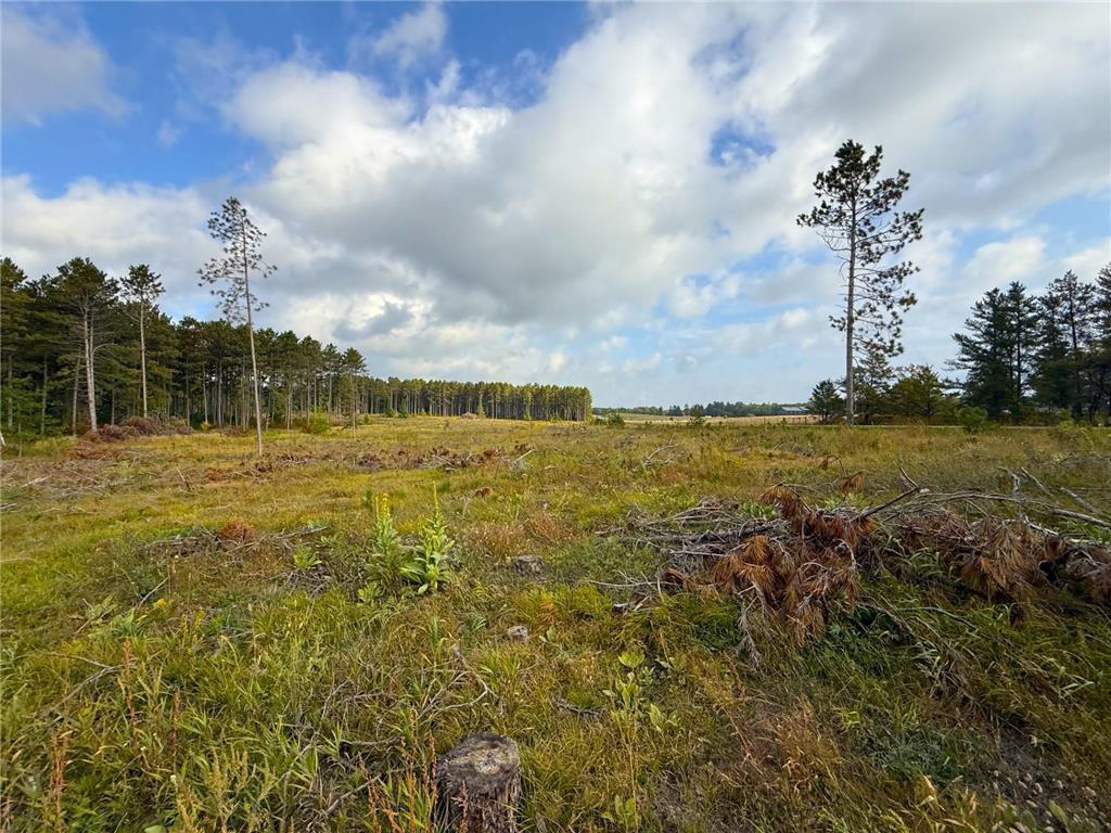 XXX Elk Haven Drive Nevis MN 56467 7058251 image11